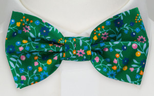 EVOCAREZZA Green bow tie