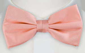 BETUTTAD CORAL bow tie