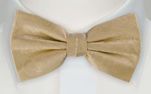 BRUD CHAMPAGNE bow tie