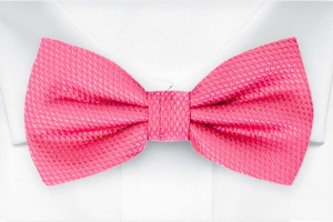 BIRDSEYE HOT PINK bow tie