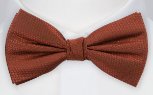 BIRDSEYE TERRACOTTA bow tie