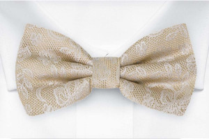 EVERAFTER CHAMPAGNE GOLD boy's bow tie