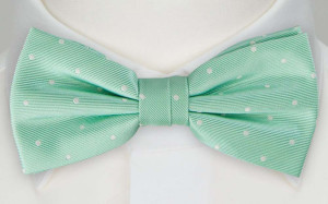 FESTLIG MINT bow tie