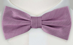 GALILEO bow tie