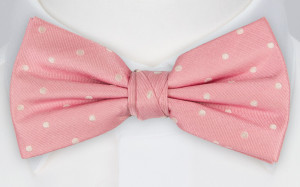 HANA bow tie