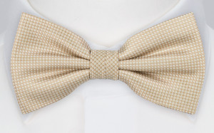 BENOIT bow tie