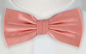 DRUMMEL CORAL bow tie