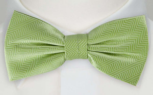 DRUMMEL GREEN bow tie