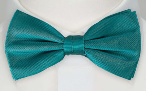 LABAN bow tie