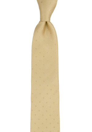 BRUDGUM CHAMPAGNE boy's tie medium