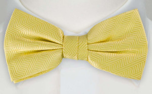 DRUMMEL YELLOW bow tie