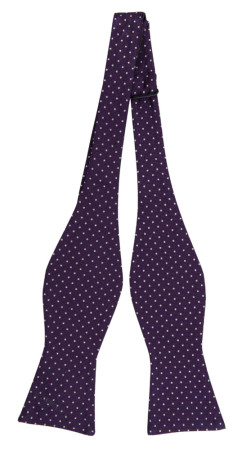 HAGELSTORM PURPLE self-tie bow tie