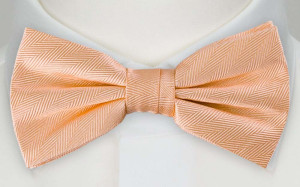 JAGGED APRICOT bow tie