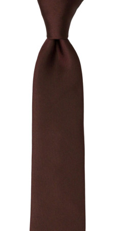 SOLID Brown boy's tie medium