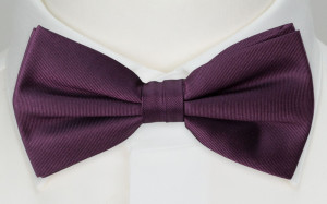 SOLID Eggplant boy's bow tie