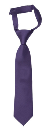 SOLID Purple boys tie small pre-tied