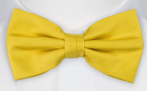 SURYA pre-tied bow tie