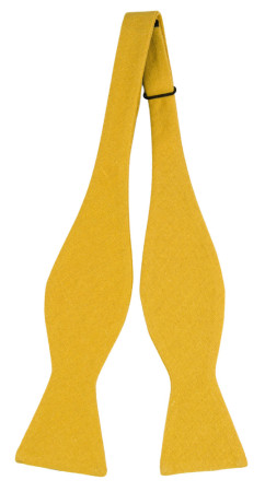 WISTFUL HONEY self-tie bow tie