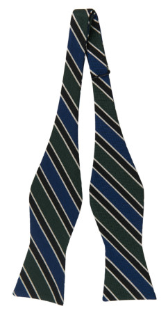 LINED UP GREEN BLUE self-tie bow tie