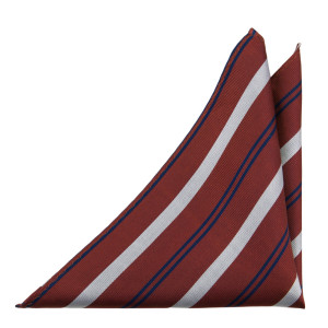 LINEONLINE CINNAMON pocket square