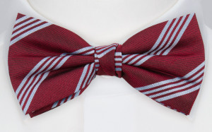 ONTHEBELL RED bow tie