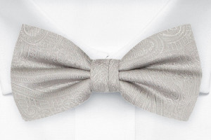 ORNATE SILVER bow tie