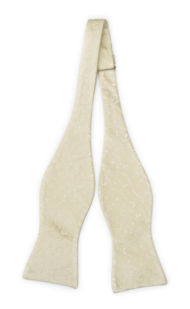SNAZZY CHAMPAGNE self-tie bow tie