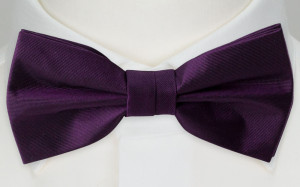 SOLID DARK PURPLE bow tie