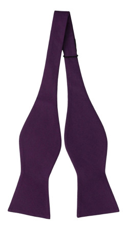 SOLID Dark purple self-tie bow tie