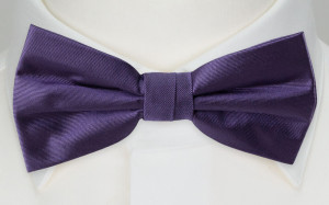 SOLID PURPLE bow tie