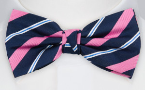 STRIPEFORWARD PINK bow tie