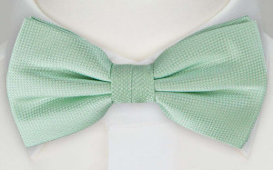 TARNA MINT bow tie