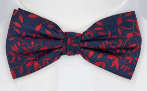 TJOHEJ RED bow tie