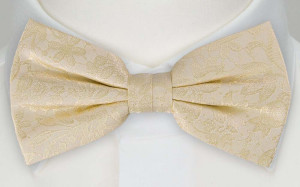 VIGSEL CHAMPAGNE bow tie