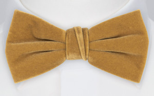 Velvet BUTTERSCOTCH BEIGE bow tie