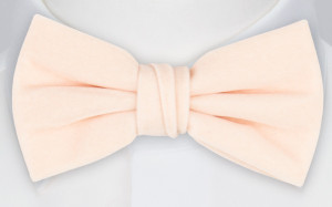 Velvet POWDER PINK bow tie