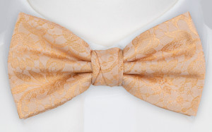 VIGSEL PEACH bow tie
