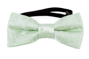 WEDDED PASTEL GREEN baby bow tie
